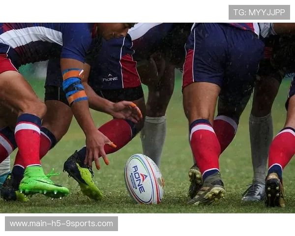 沙袋军团七人制橄榄球队伍未来发展备受期待