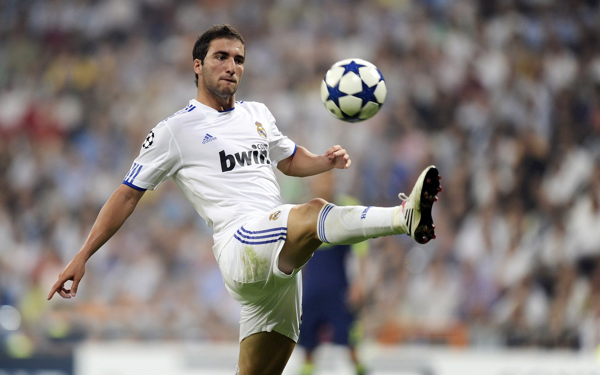 勇士队追逐联盟纪录，皇冠梦在望，勇士队总冠军视频